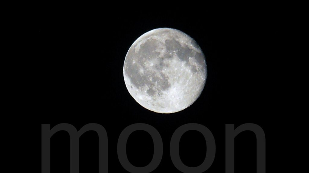 moon-adp-vision