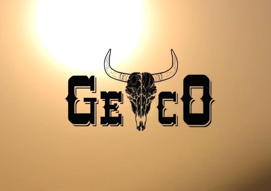 Introducing Geco
